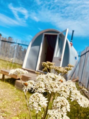 Tiny house cabin - |, |